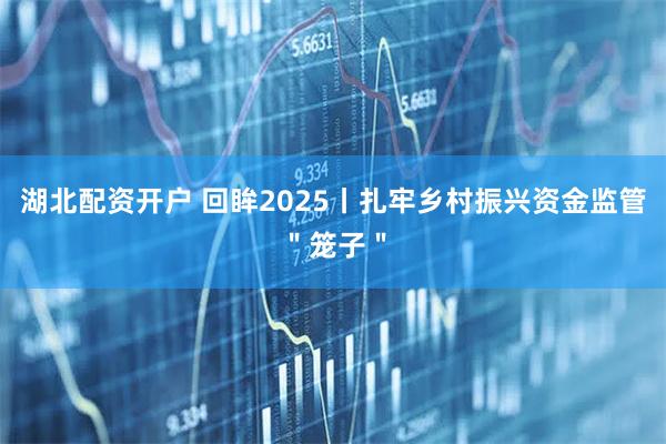 湖北配资开户 回眸2025丨扎牢乡村振兴资金监管＂笼子＂